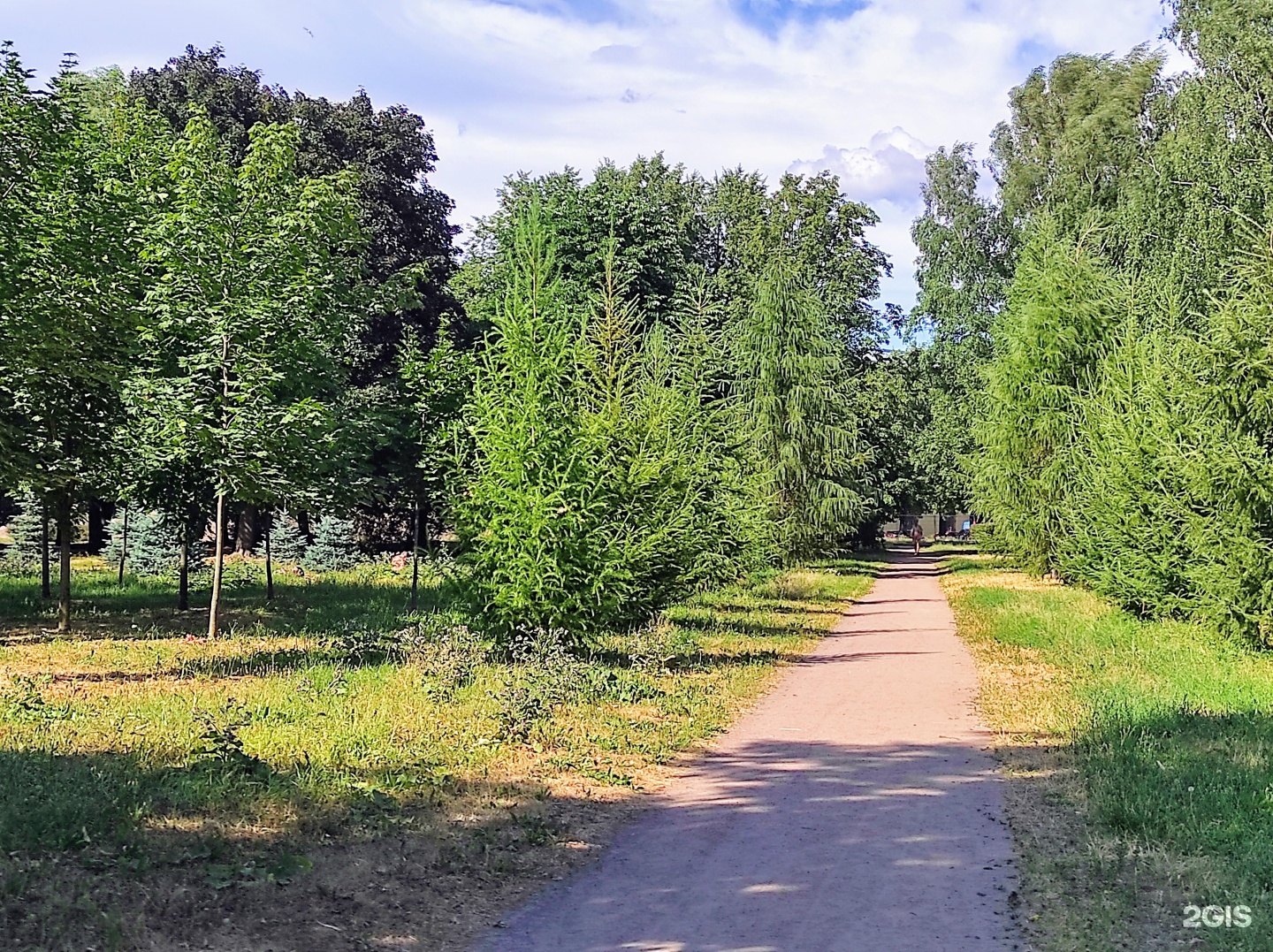 Заневский парк фото сейчас