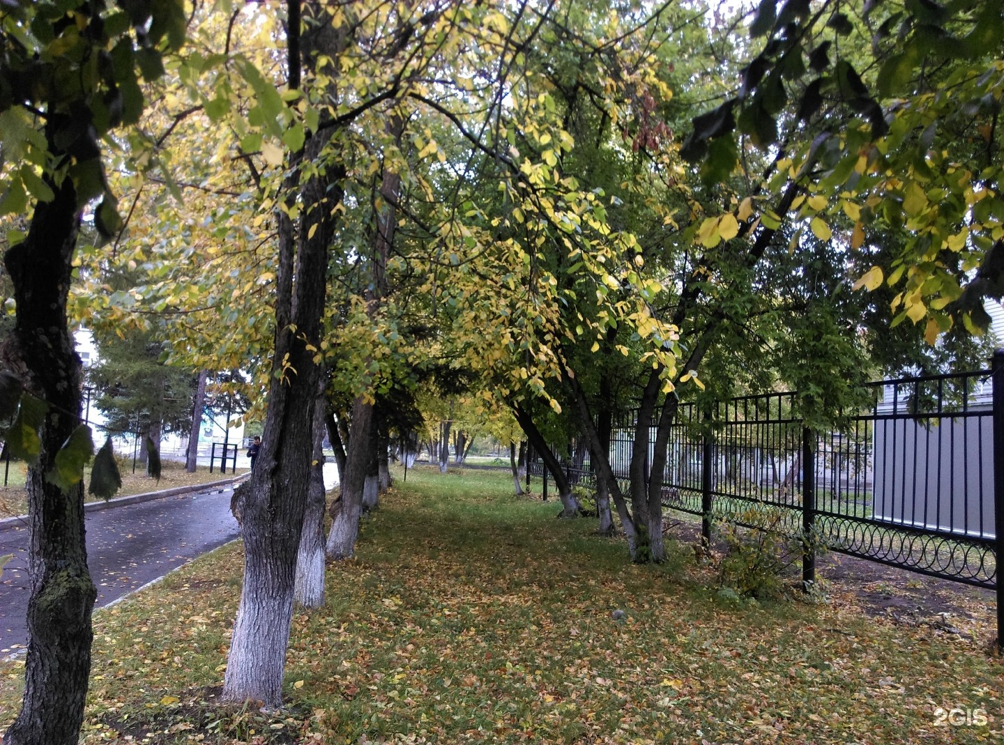 Рябково курган. Курган район Рябково. Рябково. Парк в Рябково Курган. Курган, 2 городская Рябково..