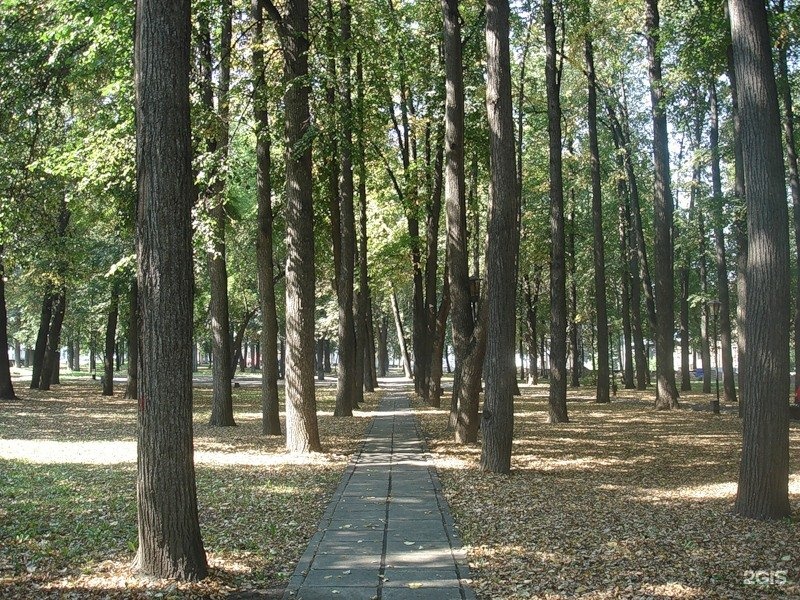 Парк декабристов санкт петербург