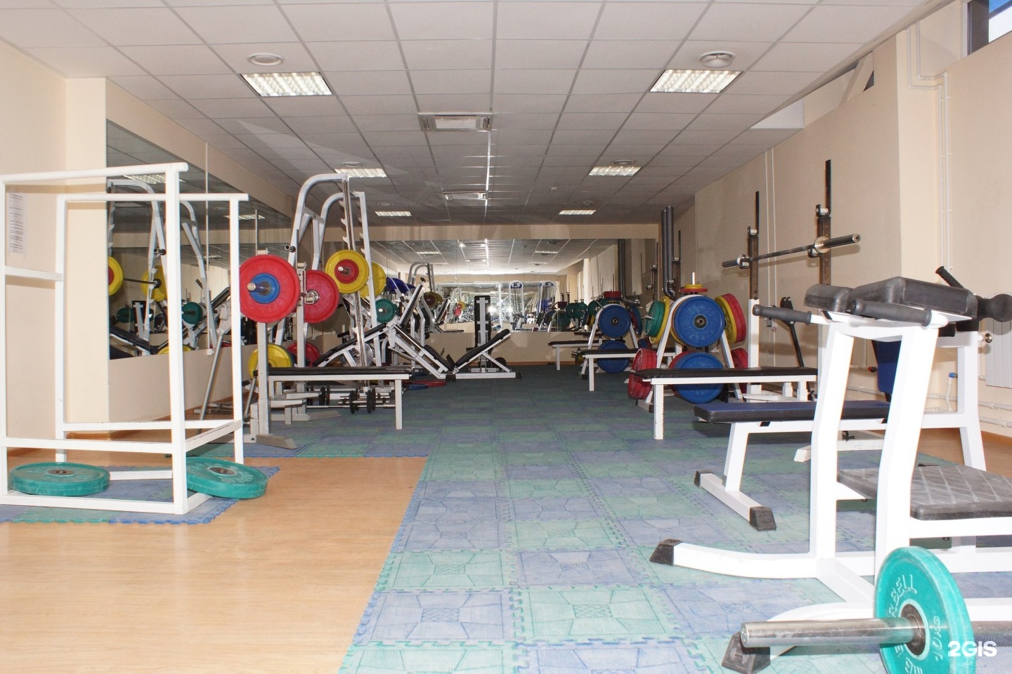 Бассейн дгту ростов-на-дону. Бассейн универ дгту. Ростов на дону бассейн бассейн дгту. Бассейн дгту площадь гагарина 1 1. Бассейн универ дгту.