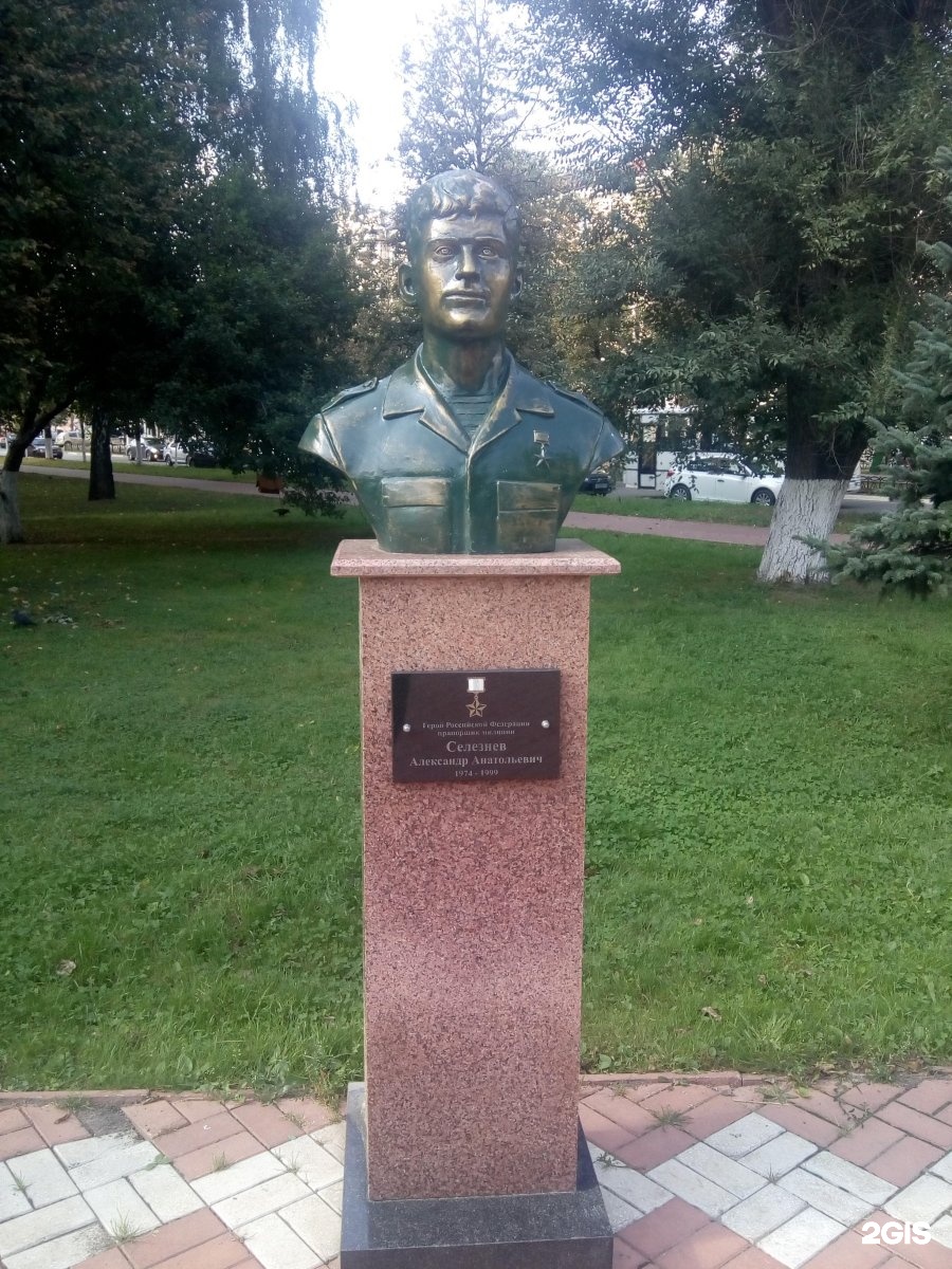 Александр анатольевич селезнев