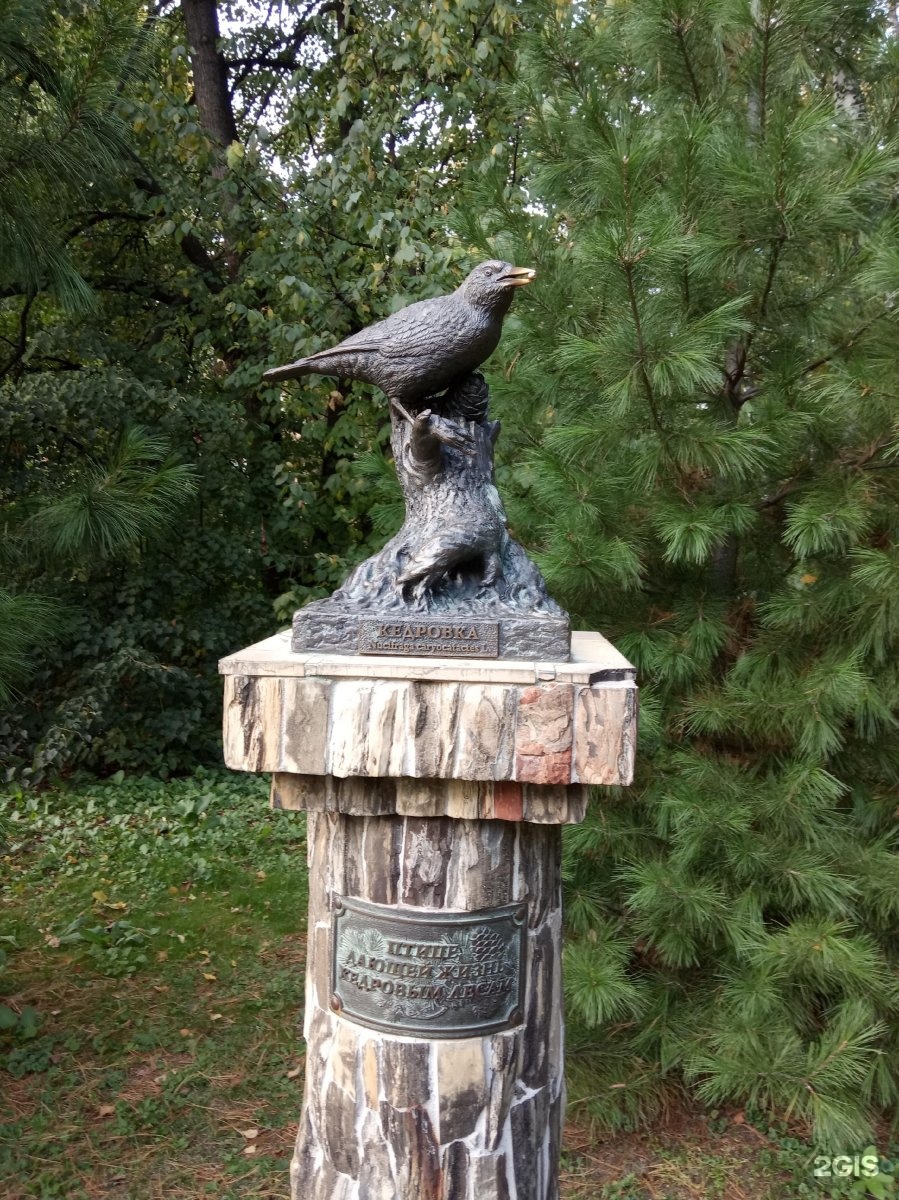 памятник птице фото