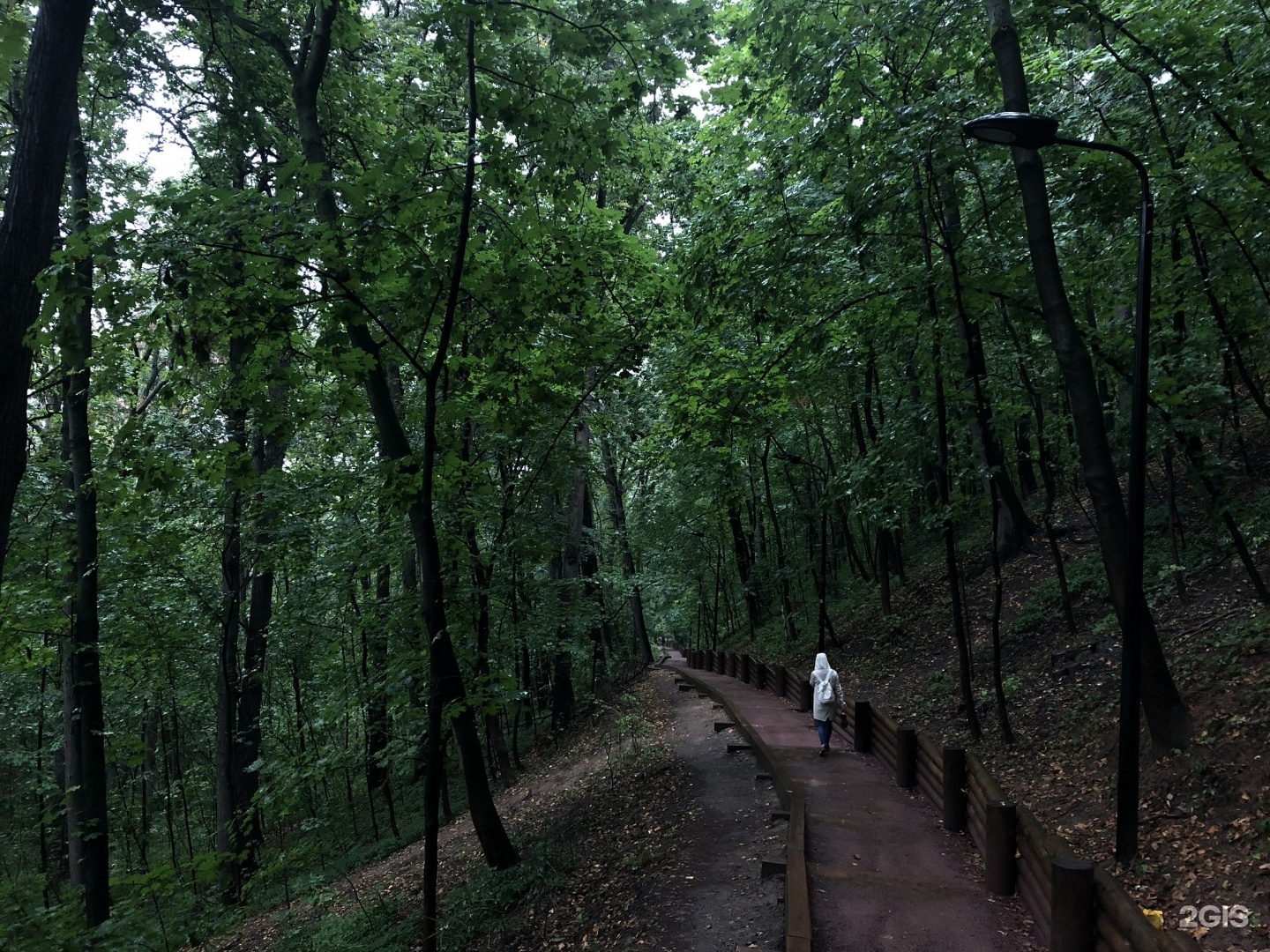 Trail москва. Заказник Воробьевы горы. Природный заказник Воробьевы горы Москва. Воробьёвы горы (природный заказник). Экотропа Москва Воробьевы горы.