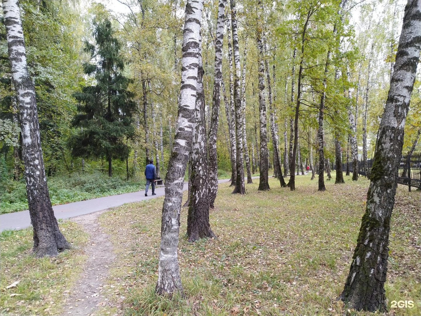 Видновский. Видновский лесопарк. Видновский лес. Видновский городской парк. Горка Видновский лесопарк.