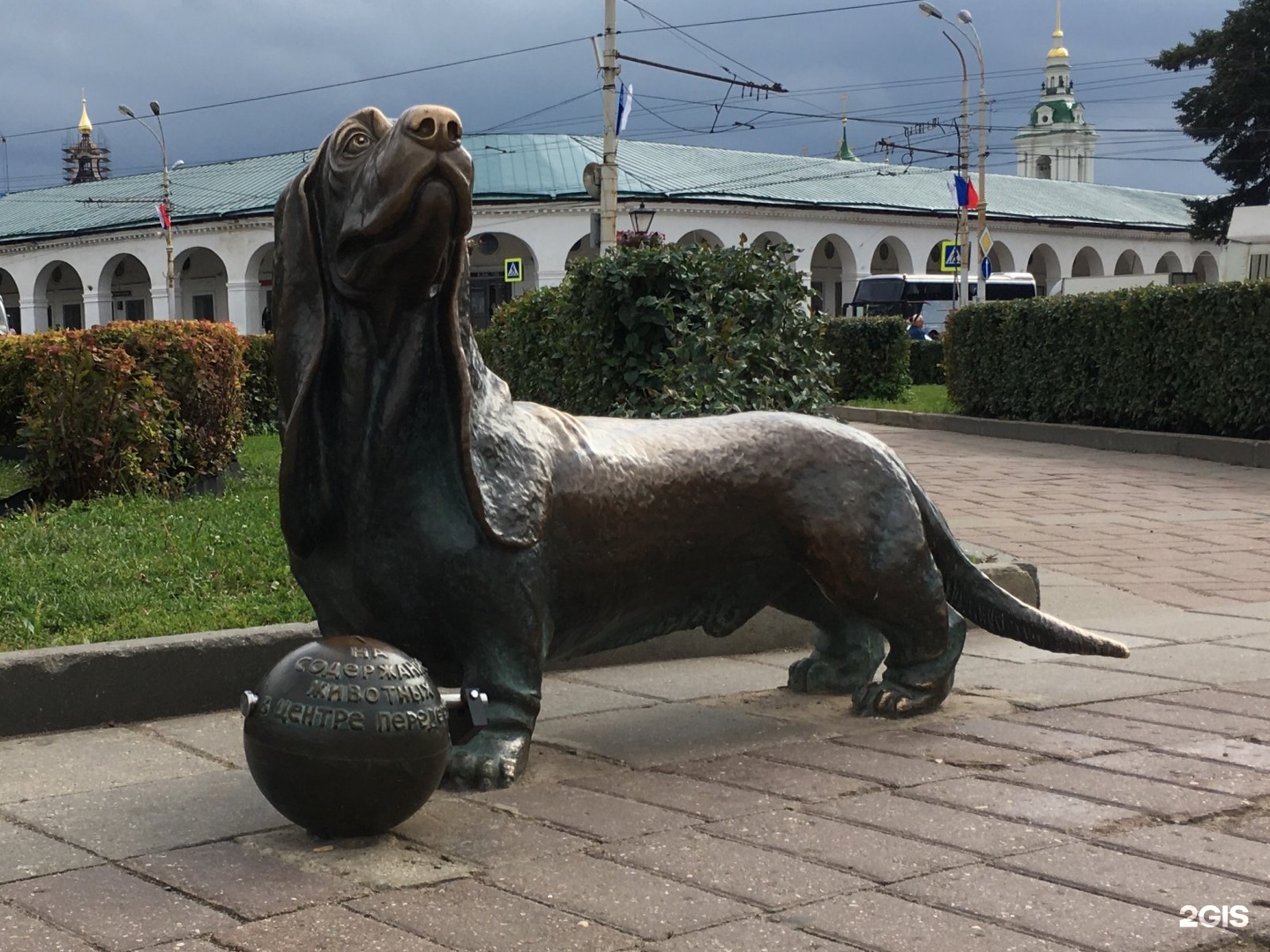 Собака кострома. Памятник собаке в Костроме. Памятник собакам-поводырям, Берлин, Германия. Памятник собаке в Берлине. Памятник собаке поводырю.