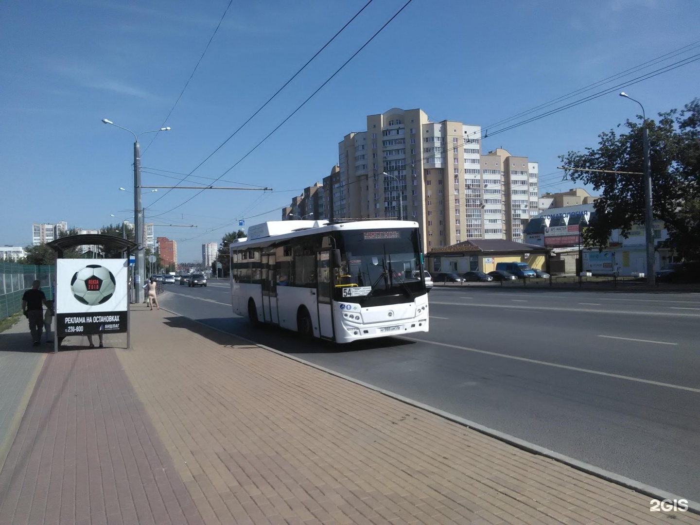 Автобус 54к. 54 Автобус Пенза. Выделенная полоса для автобусов. Автобус 54 Москва