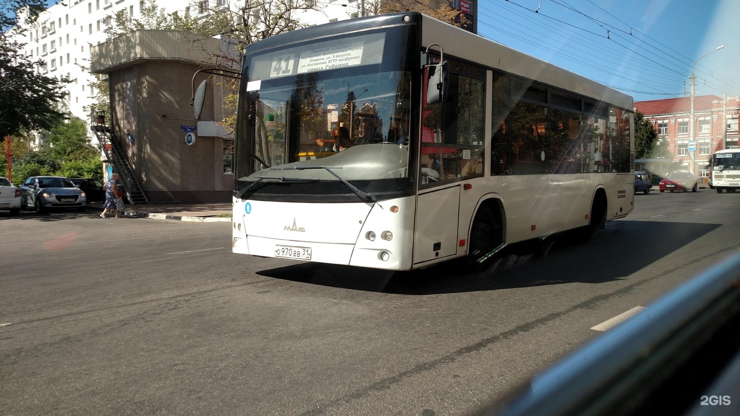 41 белгород. Автобус Белгород. Автобус 41. 41 Автобус Белгород. 220 Автобус Белгород.