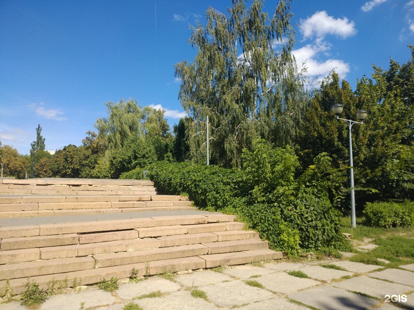 Верхний парк липецк. Виноградарский парк. Дендрарий Липецк. Верхний сад.