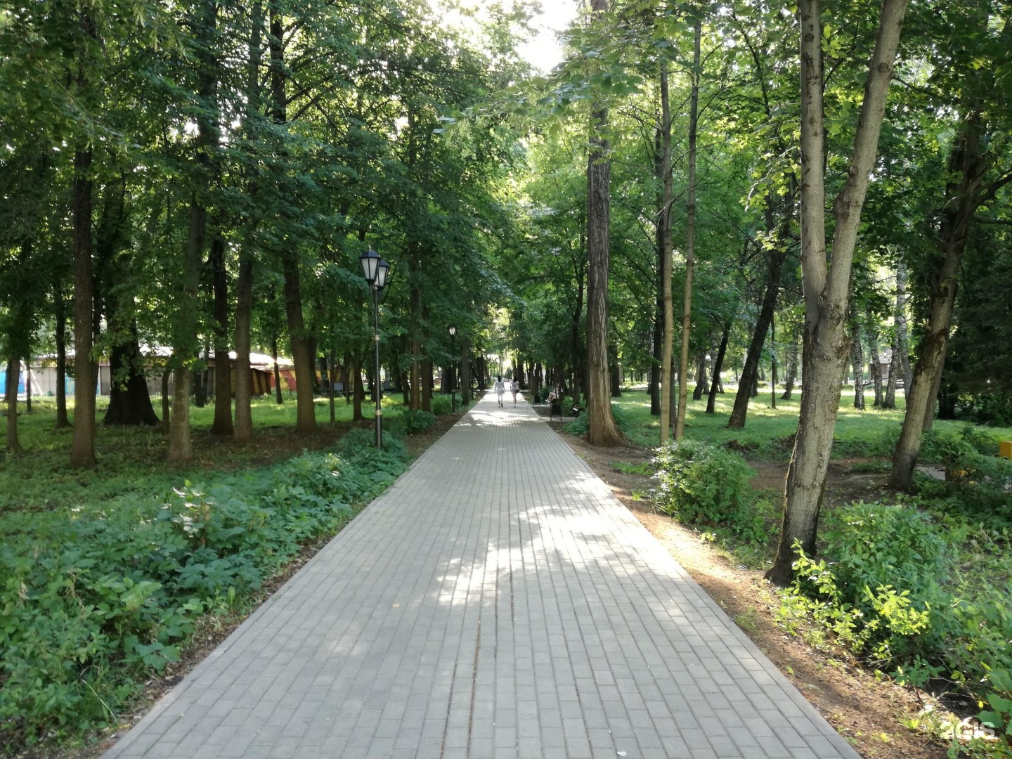 Город Липецк парк Победы