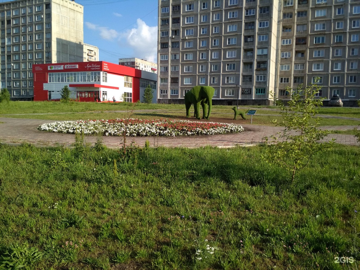 Новоильинский в городе новокузнецке. Аллея Новокузнецк. Аллея Авиаторов Новокузнецк. Новоильинский район парк. Аллея Авиаторов Новокузнецк Новоильинский район Пятерочка.