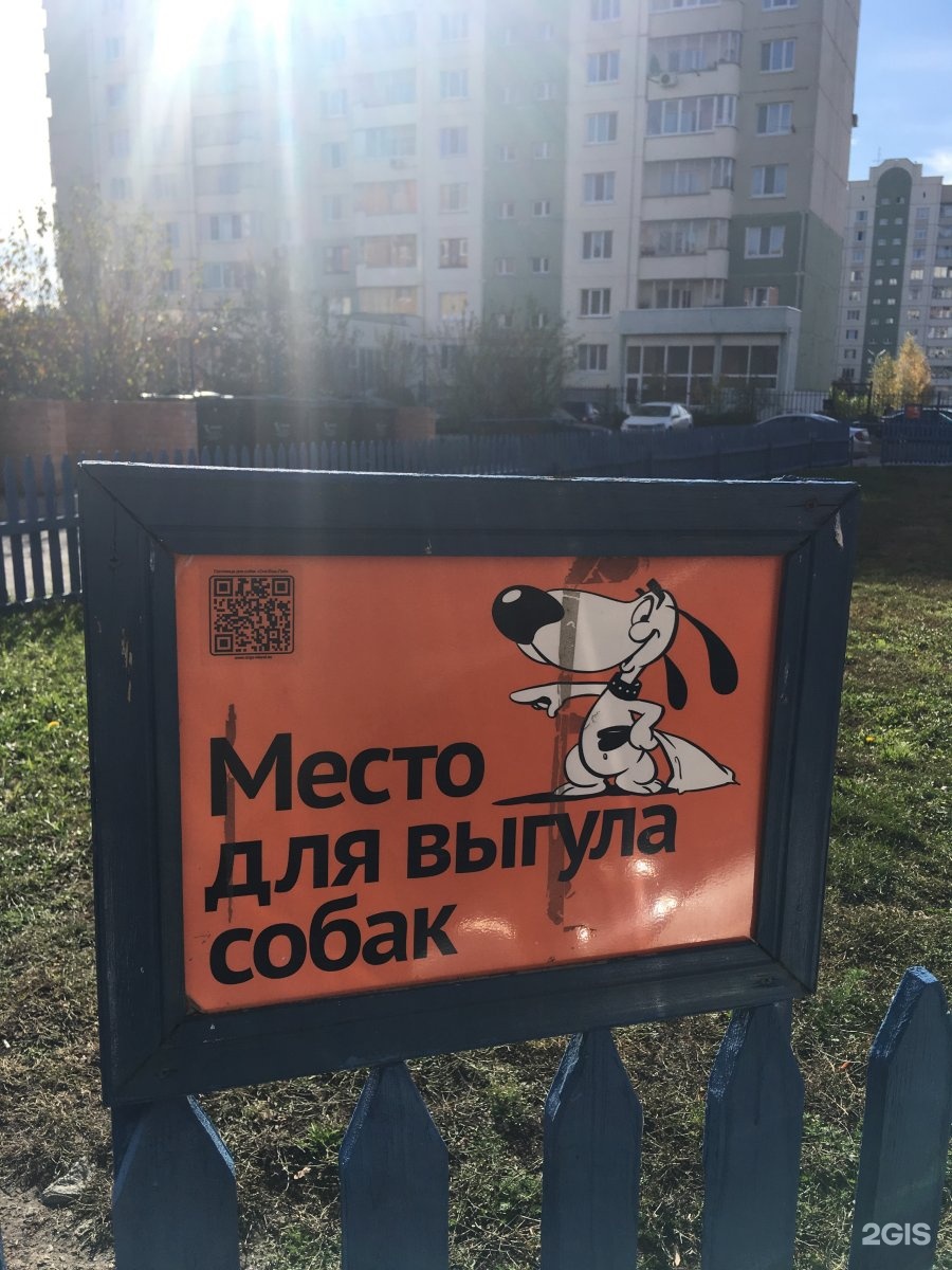Площадки для собак в москве. Место для выгула собак. Место для выгула собак. Табличка для собачьей площадки. Табличка место для выгула домашних животных.