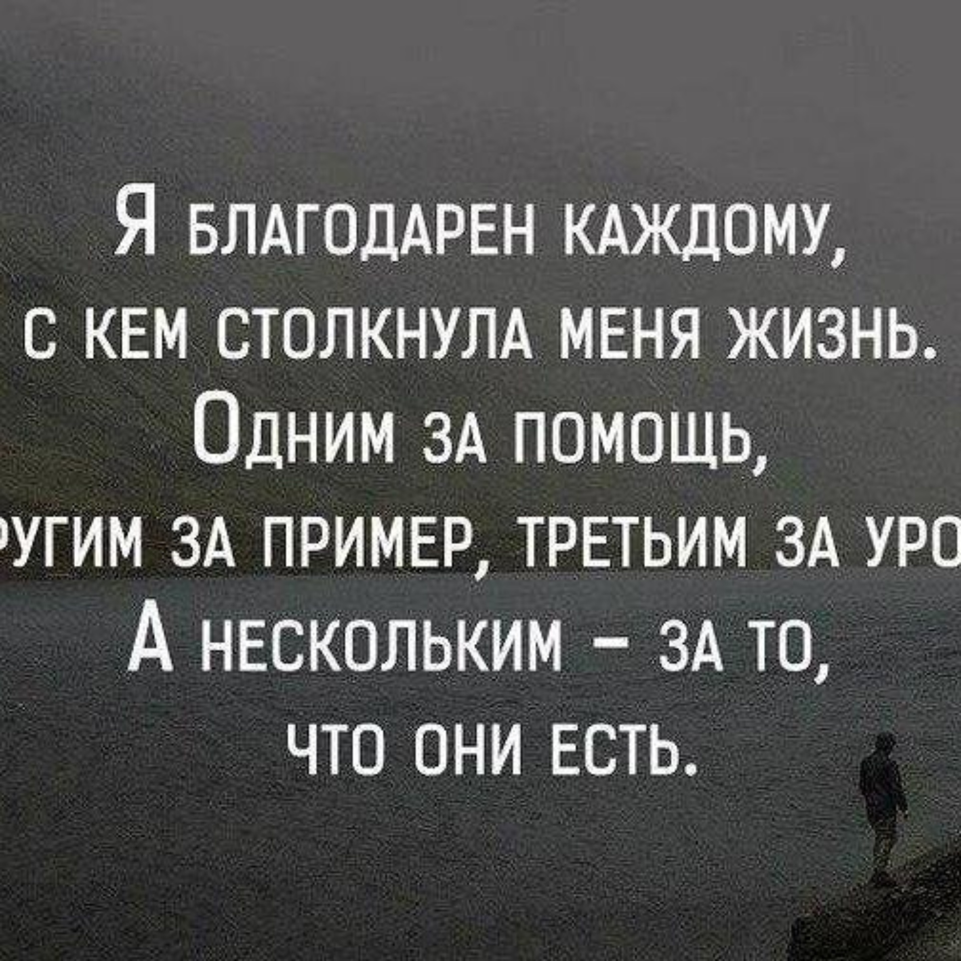 КБГ, торговая компания, Нефтеюганское шоссе, 8 ст22, Сургут — 2ГИС