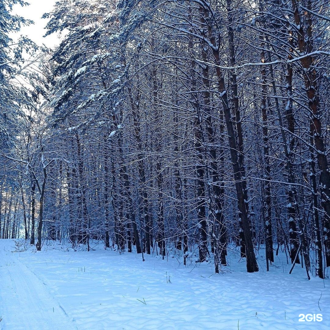 Олимп, Рекордный переулок, 3, Кемерово — 2ГИС