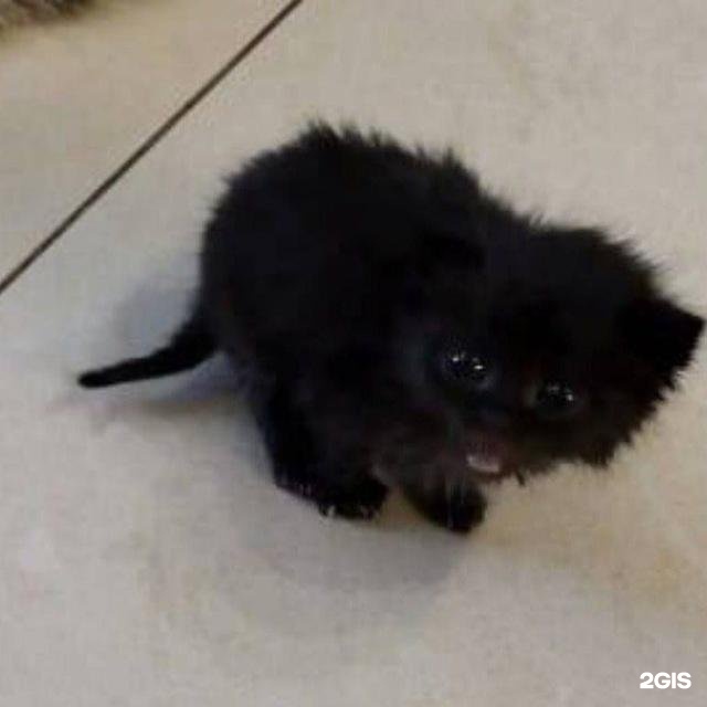 Автор отзыва Блинчик Вкусный