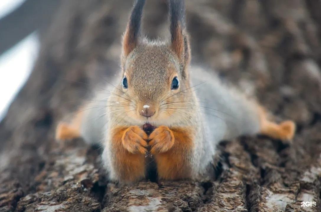 Асият Сагилов