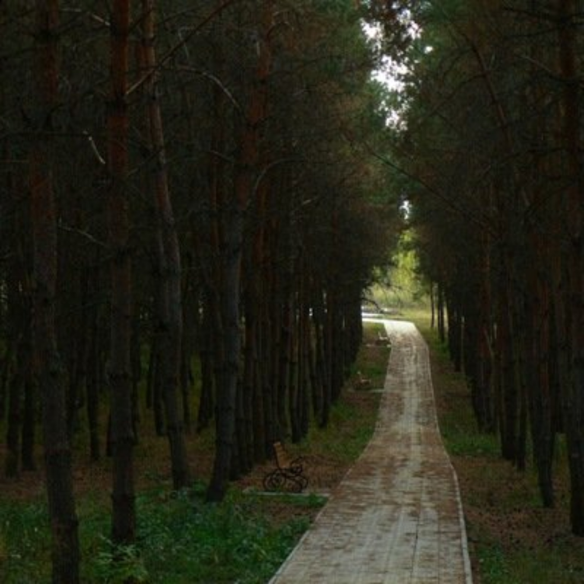 Липецкая городская Энергетическая компания, площадь Петра Великого, 4а,  Липецк — 2ГИС