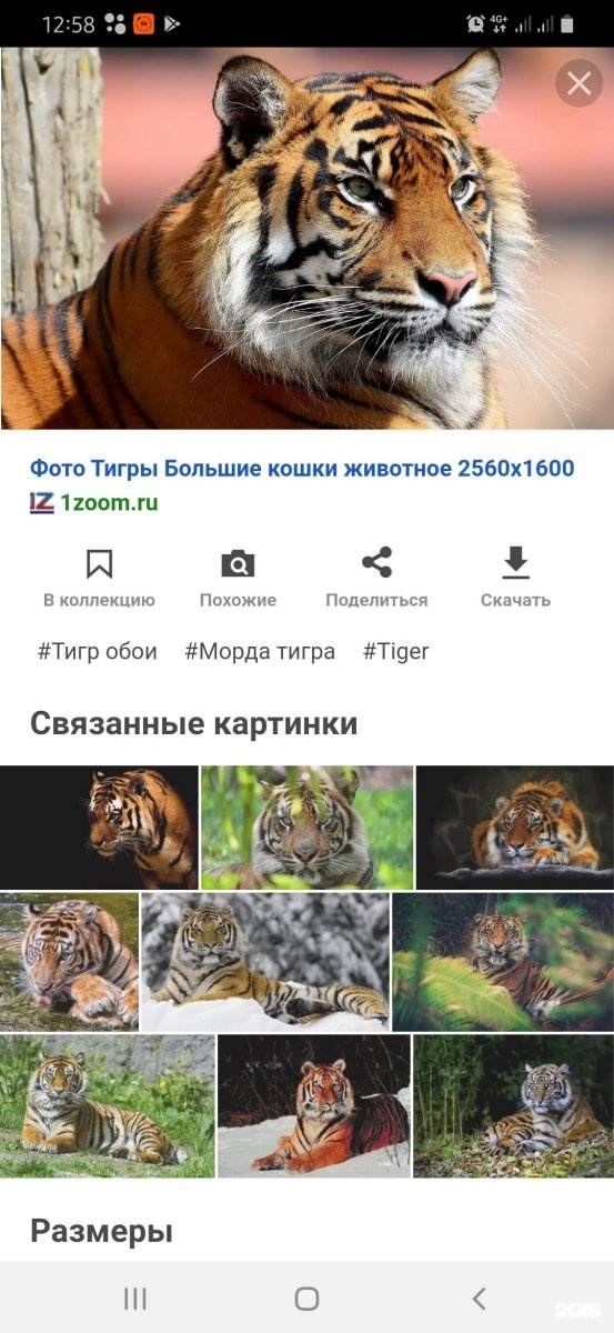 Сеть Магазинов Монро Время Работы Новокузнецк Сеть Магазинов Монро Время Работы Новокузнецк