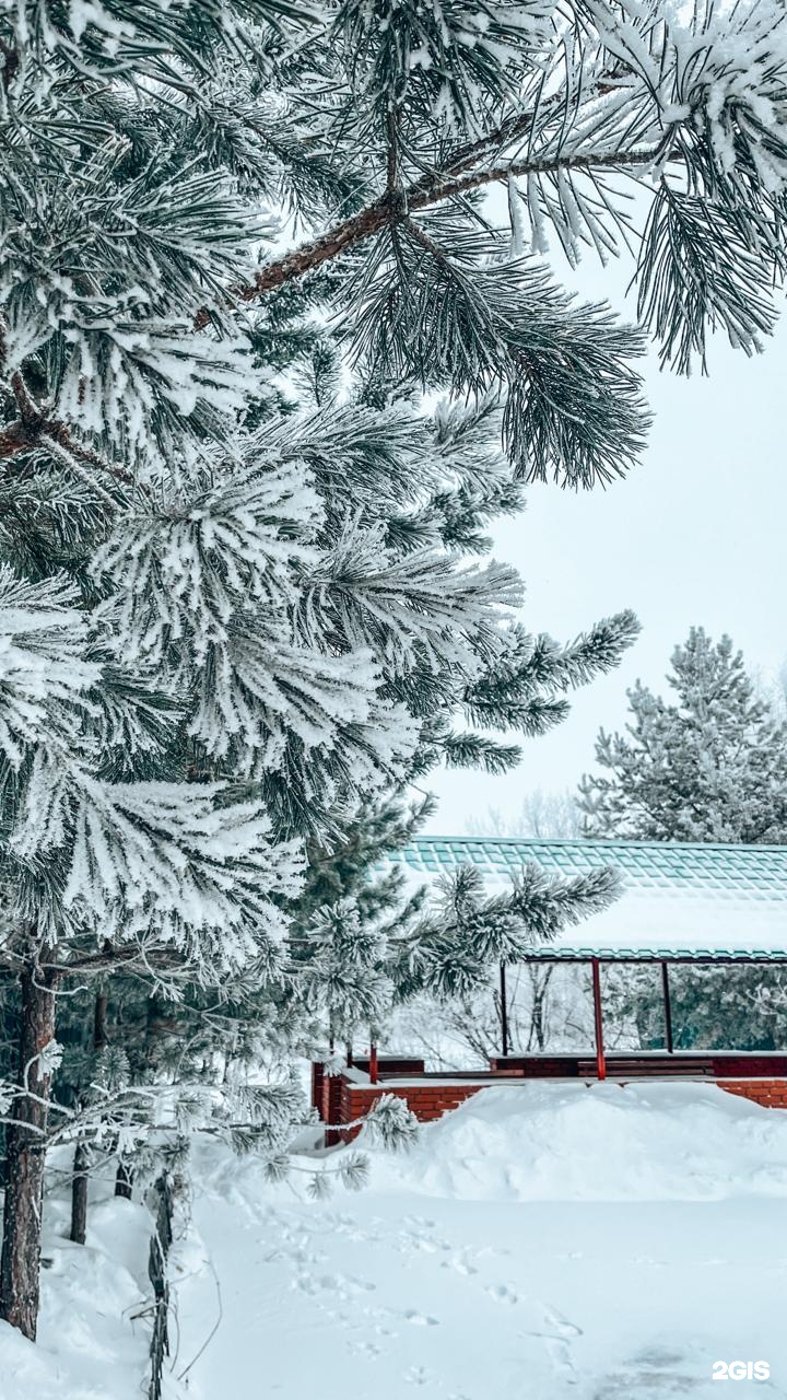 Каприз