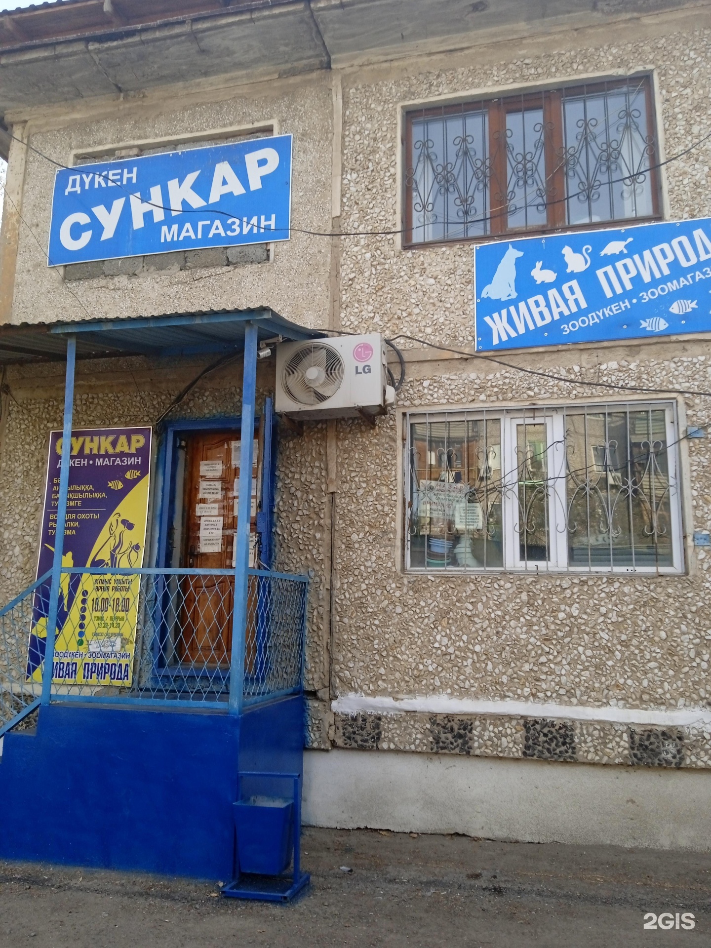 Сексуалдық порно жопа ит стилі