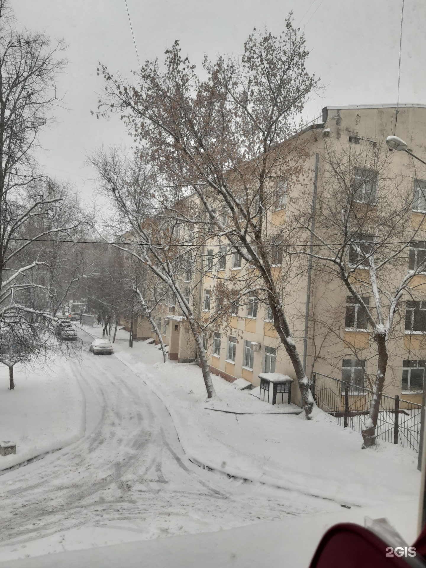 Изображение организации