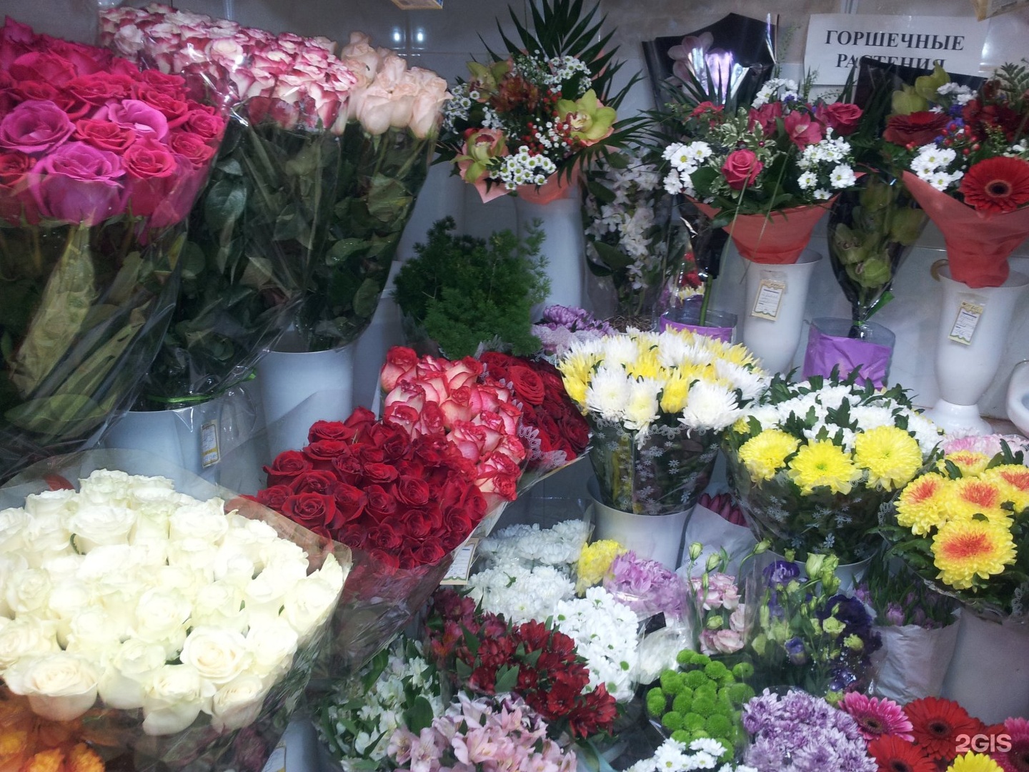 Изображение организации