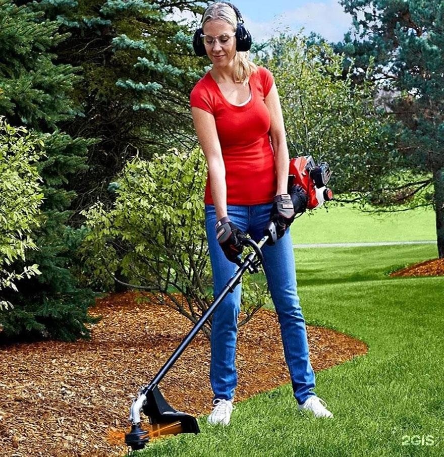 Изображение организации