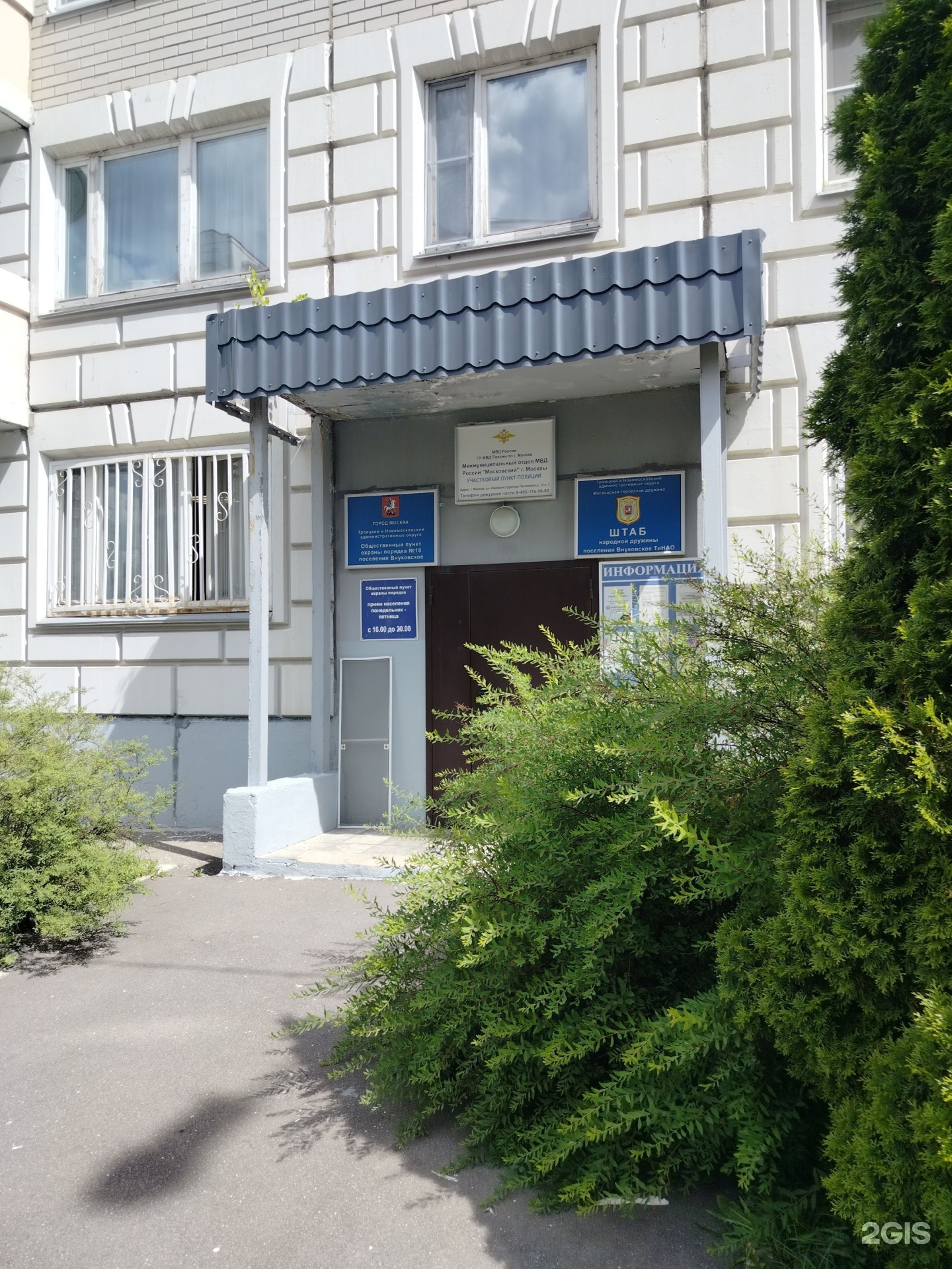 Изображение организации