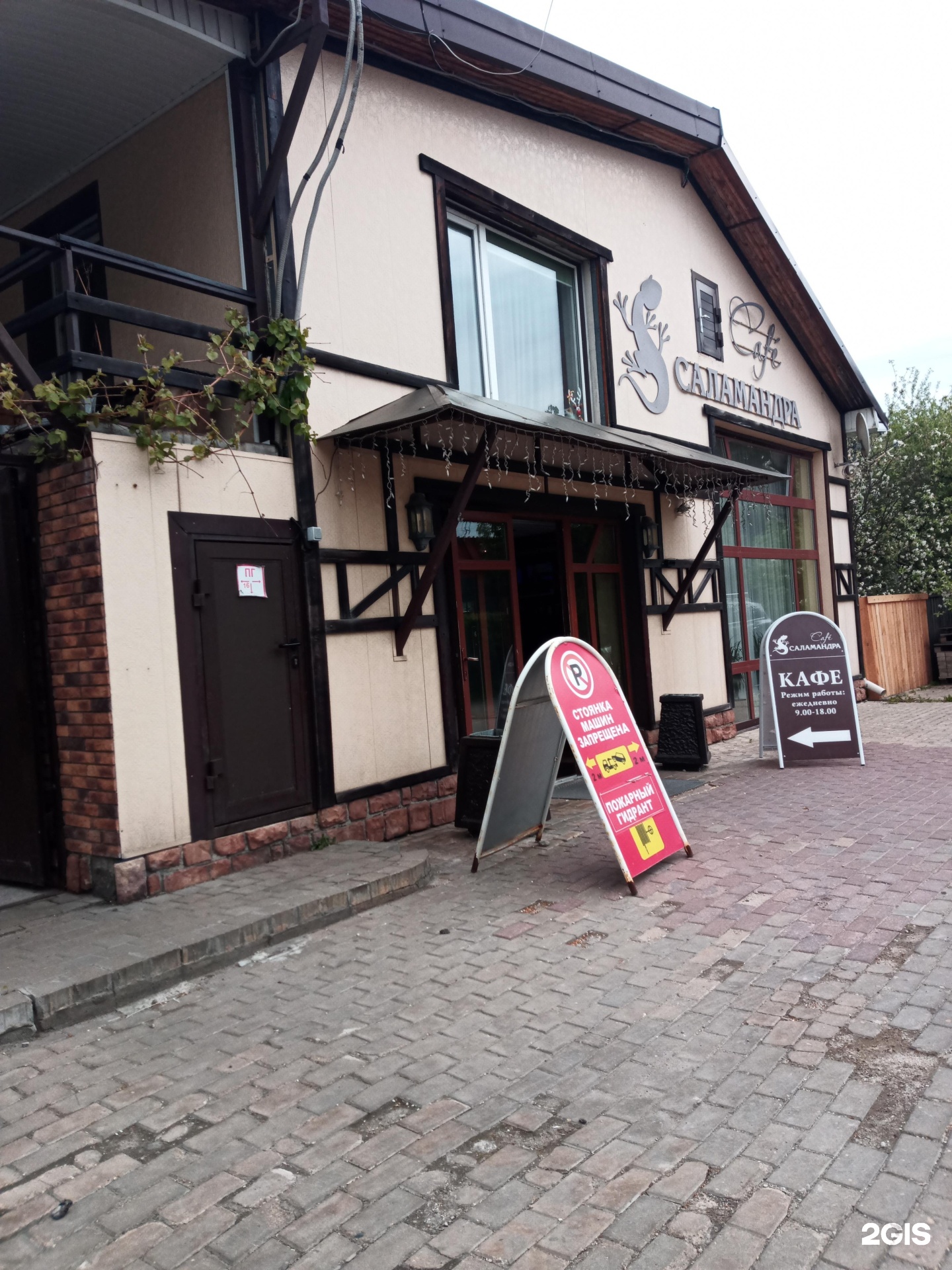 Изображение организации