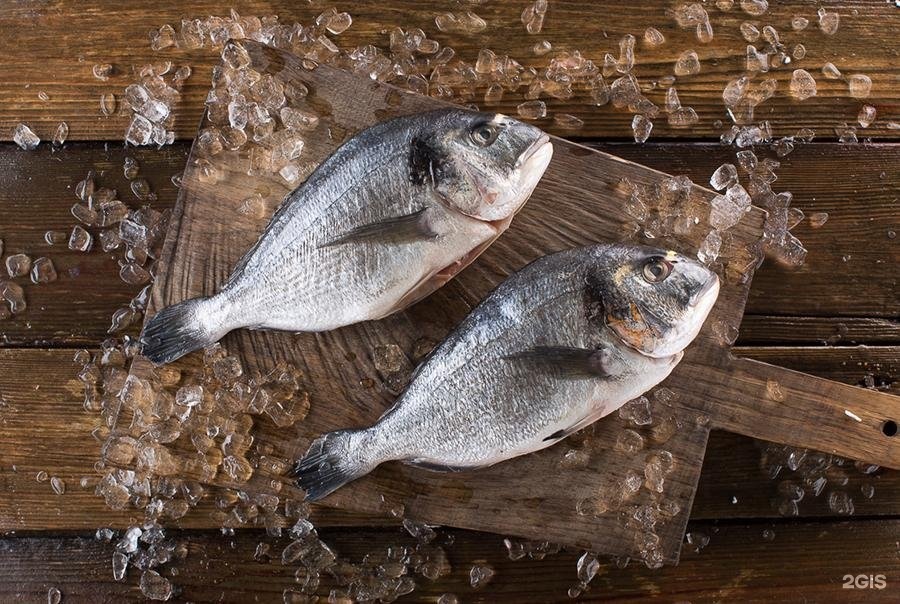 Изображение организации