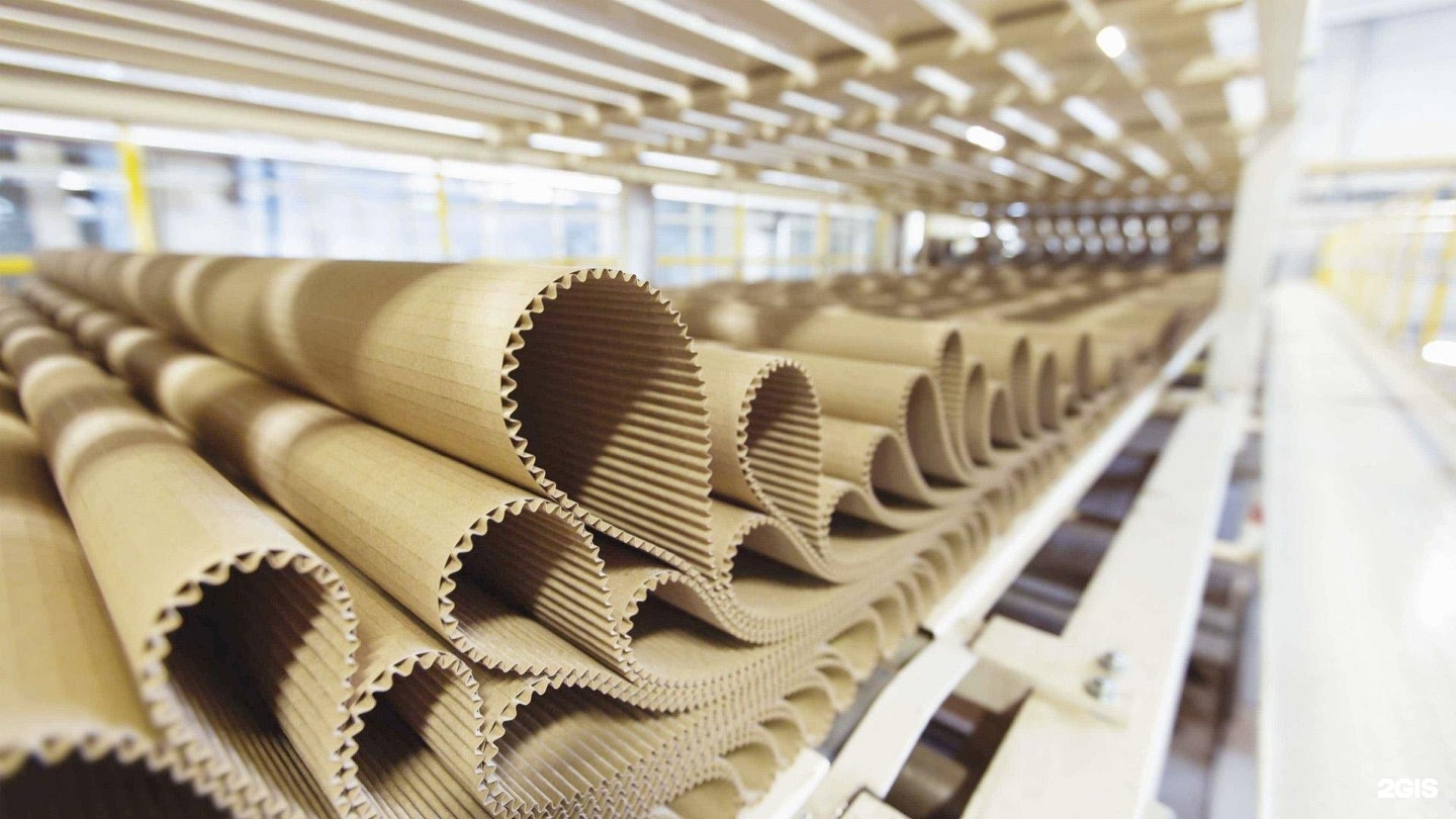 Изображение организации