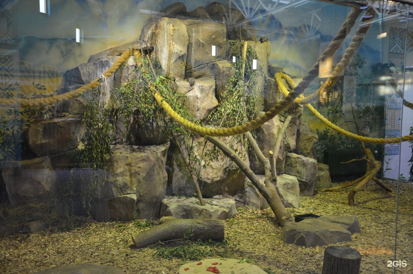 Изображение организации