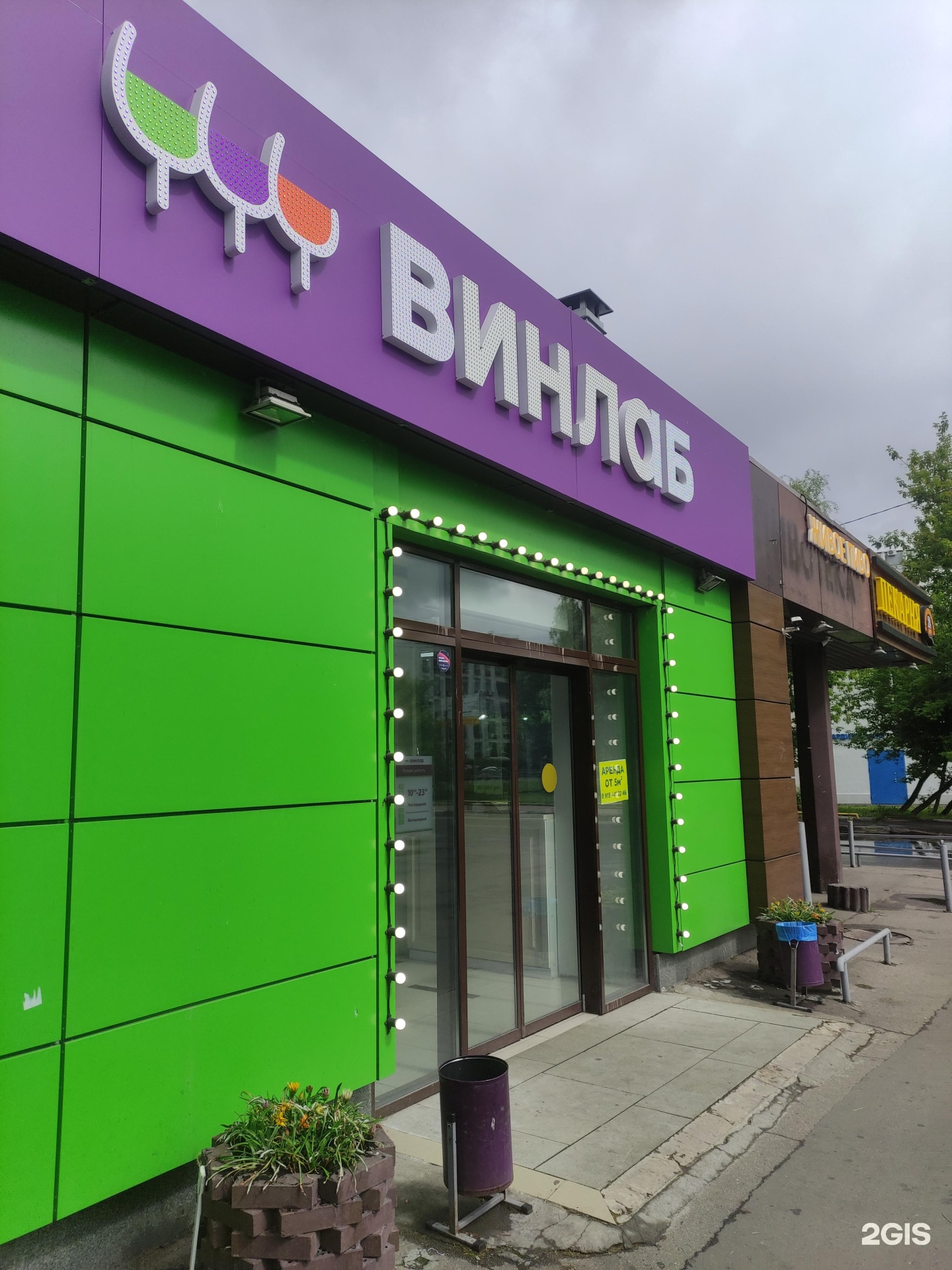 Изображение организации