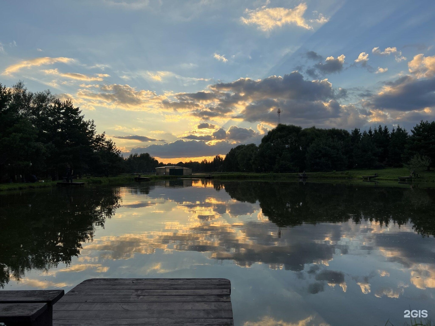 Изображение организации