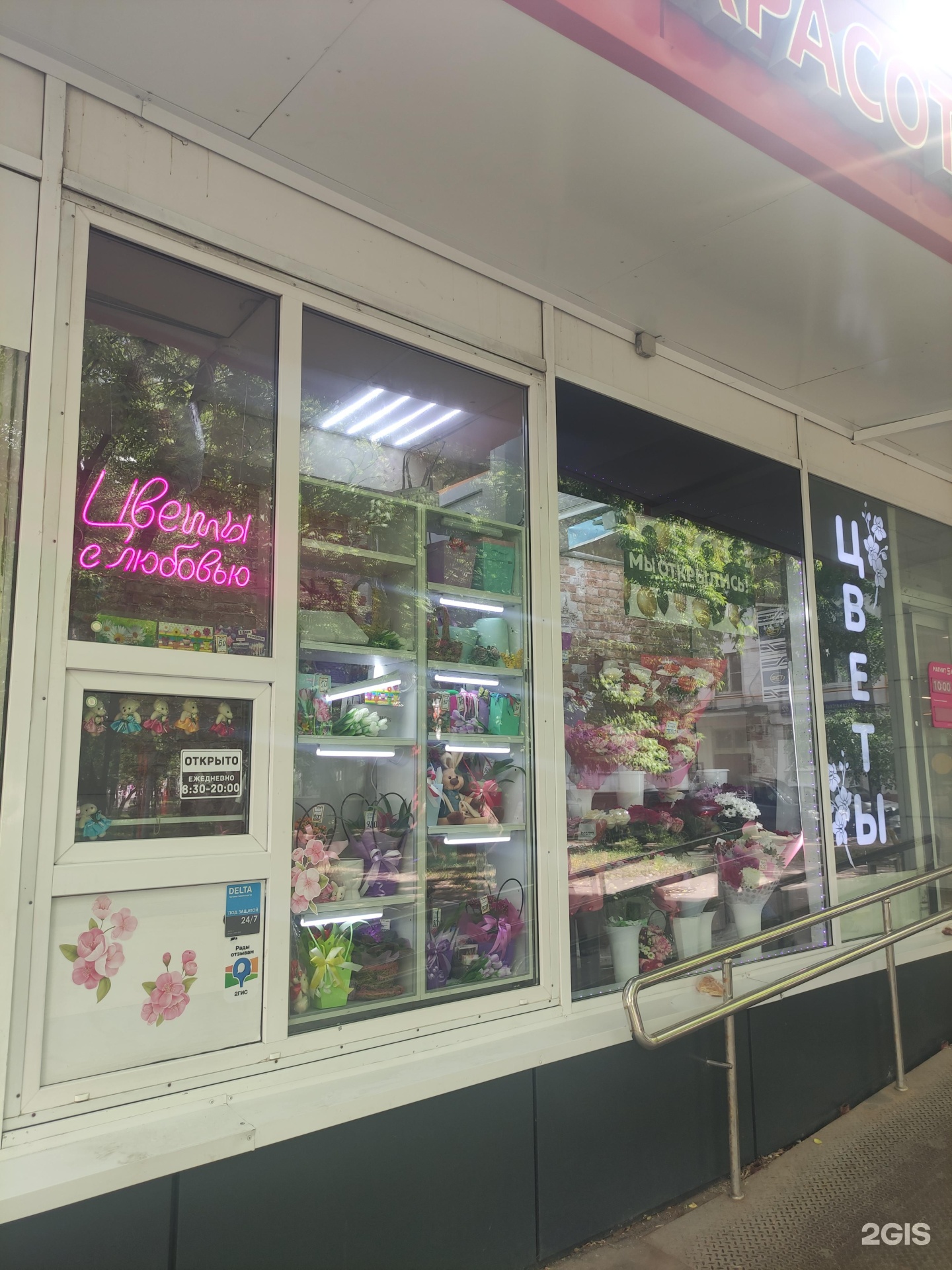 Изображение организации