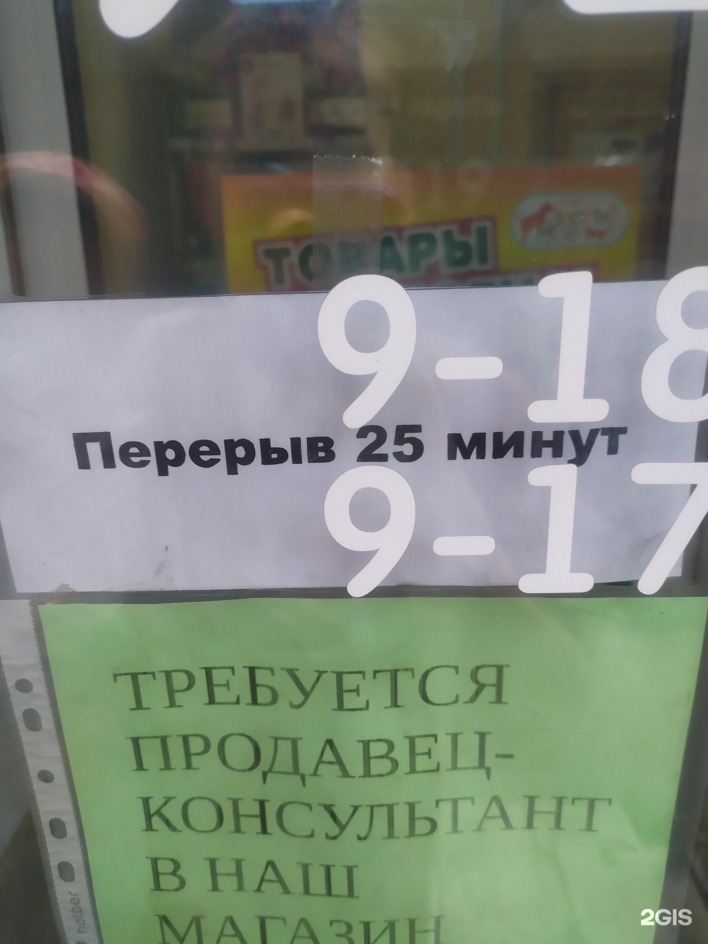 Зверьё моё, зоомагазин, улица Щорса, 37, Киров — 2ГИС