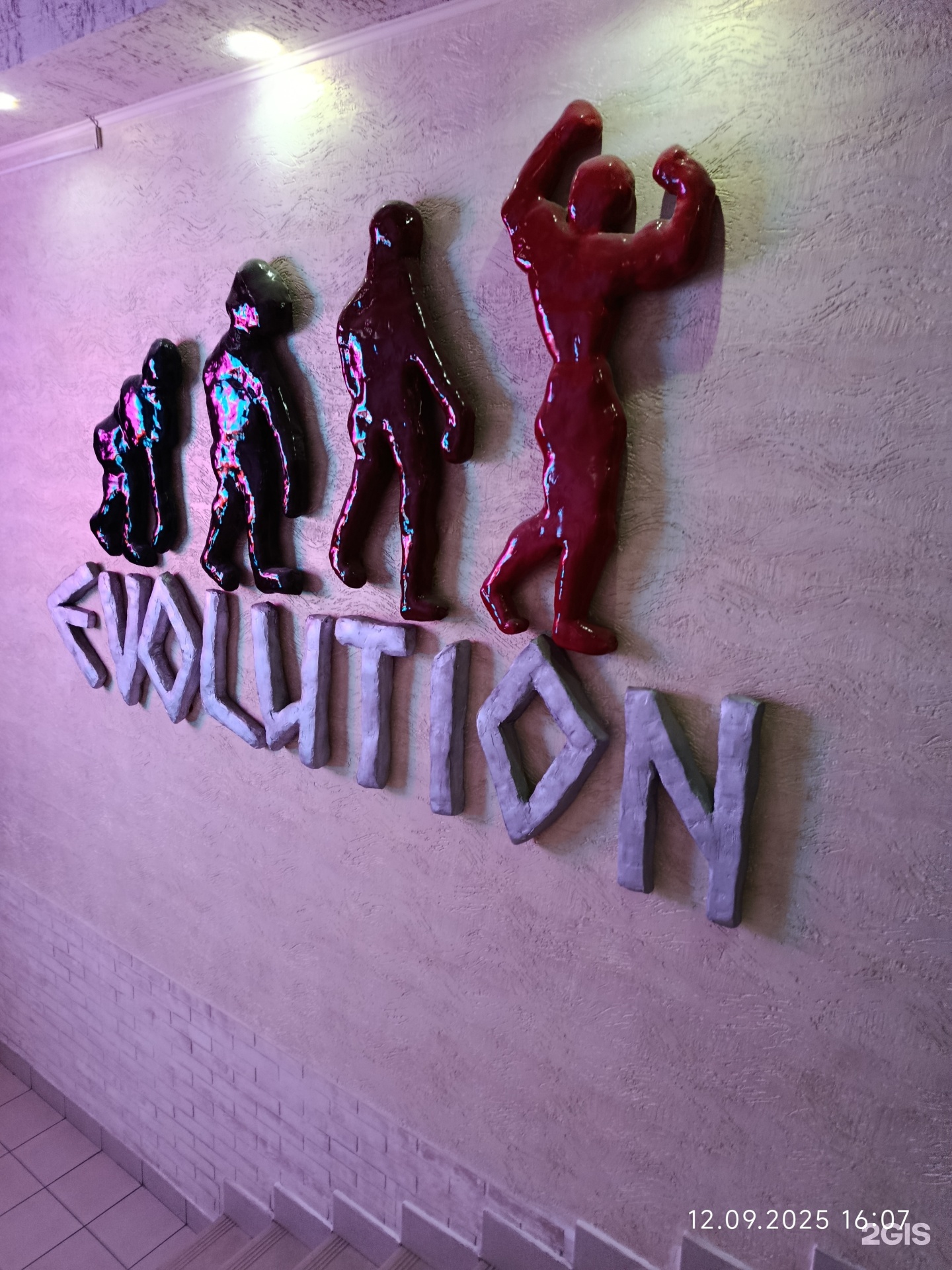 Evolution