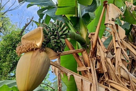 Лазаревское: Гостевой дом Дом на море 77