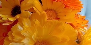 Абалак: Апартаменты Твой Дом