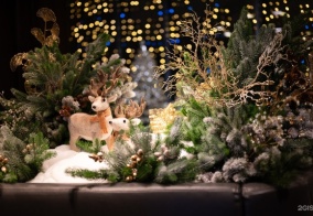 Отель Novotel Москва Киевская в Москве