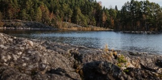 Ламберг: Турбаза Ягодная Деревня