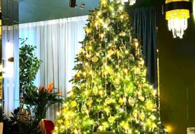 Отель Bridge в Красной Поляне