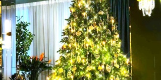 Красная Поляна: Отель Bridge