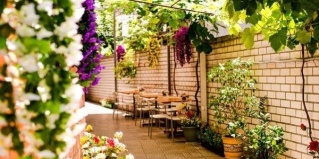 Анапа: Гостевой дом Континенталь