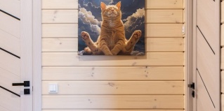 Всеволожский муниципальный район: Коттедж Уют for You