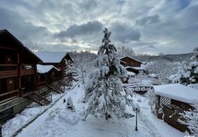 Коттедж Рябиновые бусы в Республике Адыгея