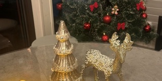 Красный Ключ: Коттедж A-Frame Синильга