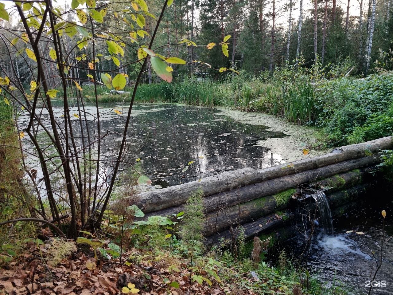 Турбаза Красный Бережок в Новгородской области