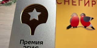 Нижнекамск: Отель Снегири