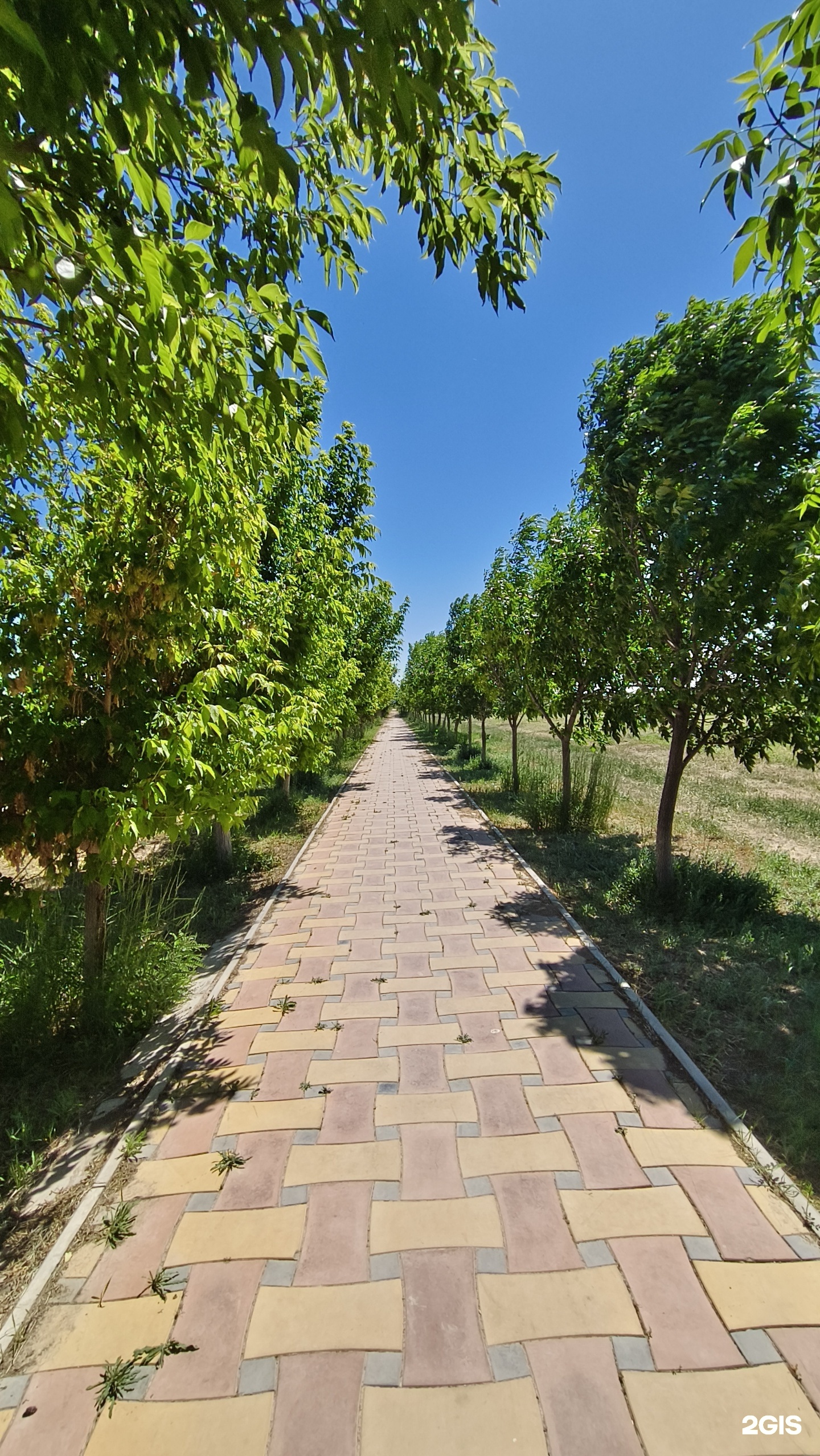 Бесікті