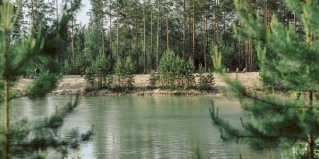Тюмень: Глэмпинг Хвойный берег